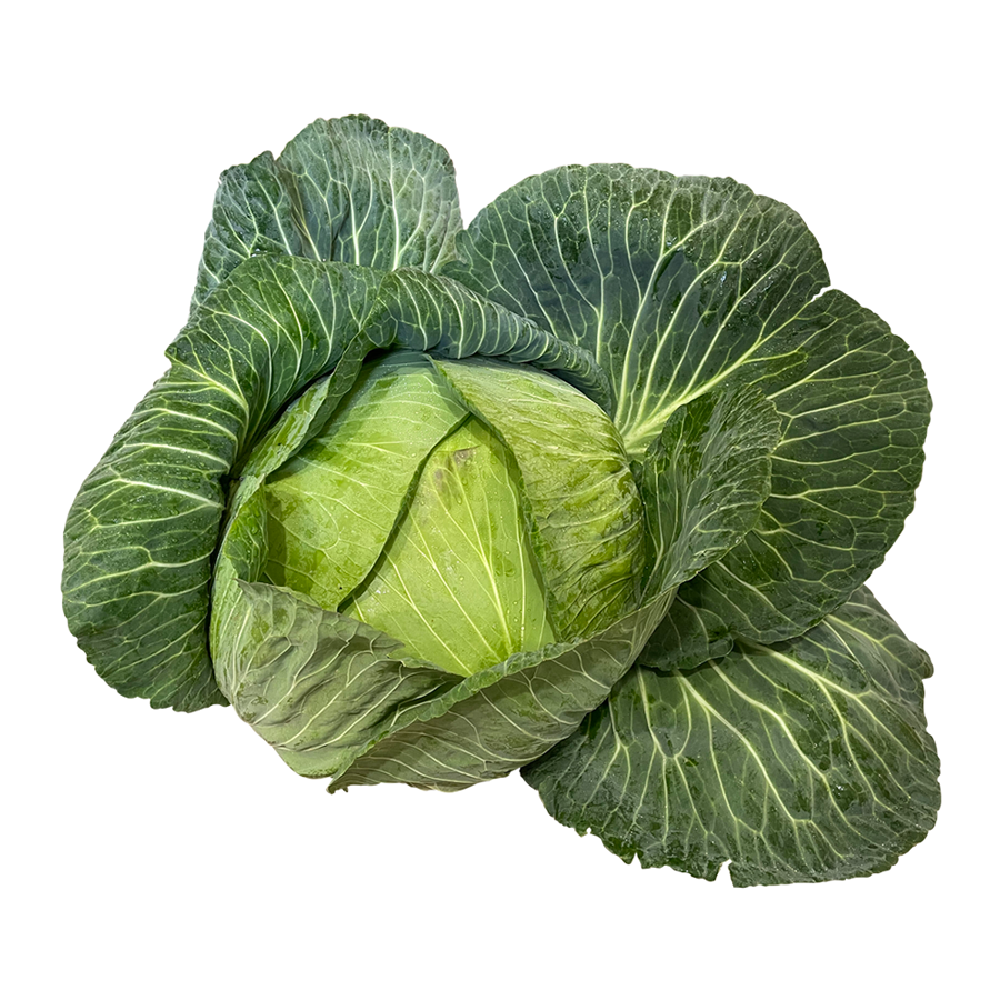 بذور  كرنب حشو جامبو كروس 50جم